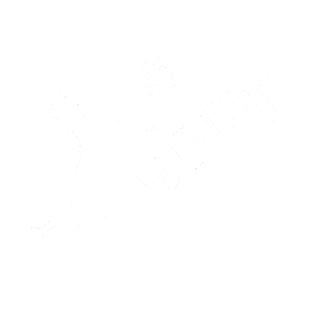 Volley-Club de Bart